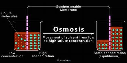 introosmo1